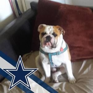 Meet your Posher, Samuel